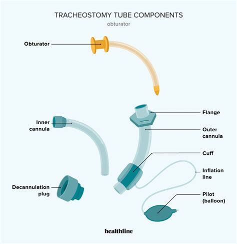 vavob|VVOB Tube